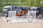 BPP_3931
