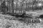 Stepping Stones