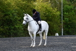 WJ5_8982