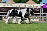 SBM_09465