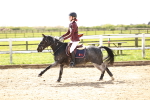 SBM_002036