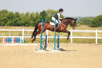 SBM_000219
