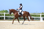 Pendarves British Dressage 10 May 2026 portfolio