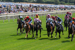100726-Race 1-Northern Express-0113