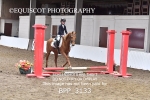 BPP_3133