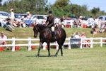 3E7A8126
