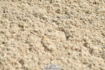 230721A-105124-05311