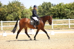 SBM_010439