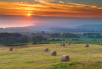 z1075 Summer Bales overlooking Chale