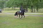 NGP_8000