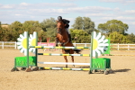 SBM_007972