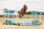 SBM_018084
