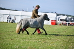 DSC_5473