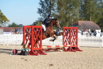 SBM_34438