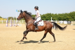 SBM_000783