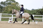 SBM_017909