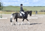 BPP_9648