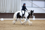 SBM_003151