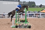 BPP_4108
