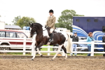 SBM_01381