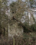 4631 Rock Farm