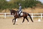 SBM_013616
