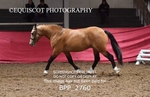 BPP_2760