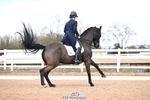 260213-123211-01770