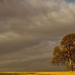 Storm Brewing Exeter 3