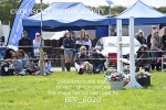 BPP_6020