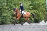 WJ7_6984