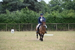 WJ6_9737