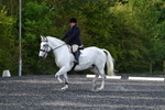 WJ5_8966