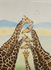 Giraffes