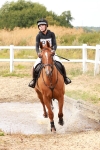 SBM_004398