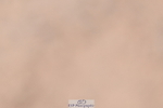 260923B-132228-00376
