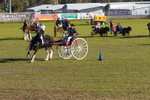 Harness Driving Challenge 3. 0A3A9634
