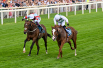260725-Race 5-Beylerbeyi-0720