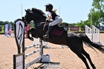 Cls 32 Pony British Novice and 80cm Open portfolio