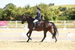 SBM_009697
