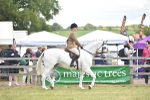 SBM_15881