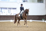 SBM_009134