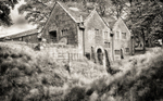 20140817-20140817-3K8A5362_mono_HDR-2