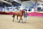 SBM_00454