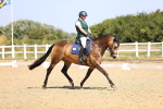 SBM_009488