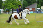 SBM_00933