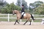 SBM_017454