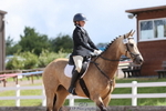 Cls 1B Jnr Intro C portfolio