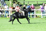 SBM_50342