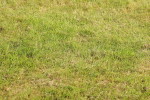 SBM_00472